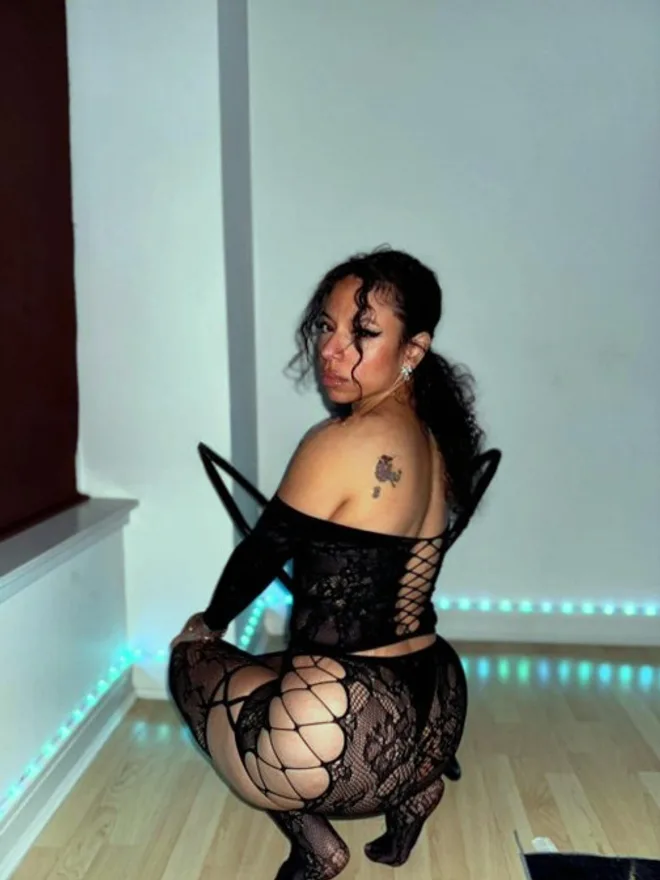 Piper